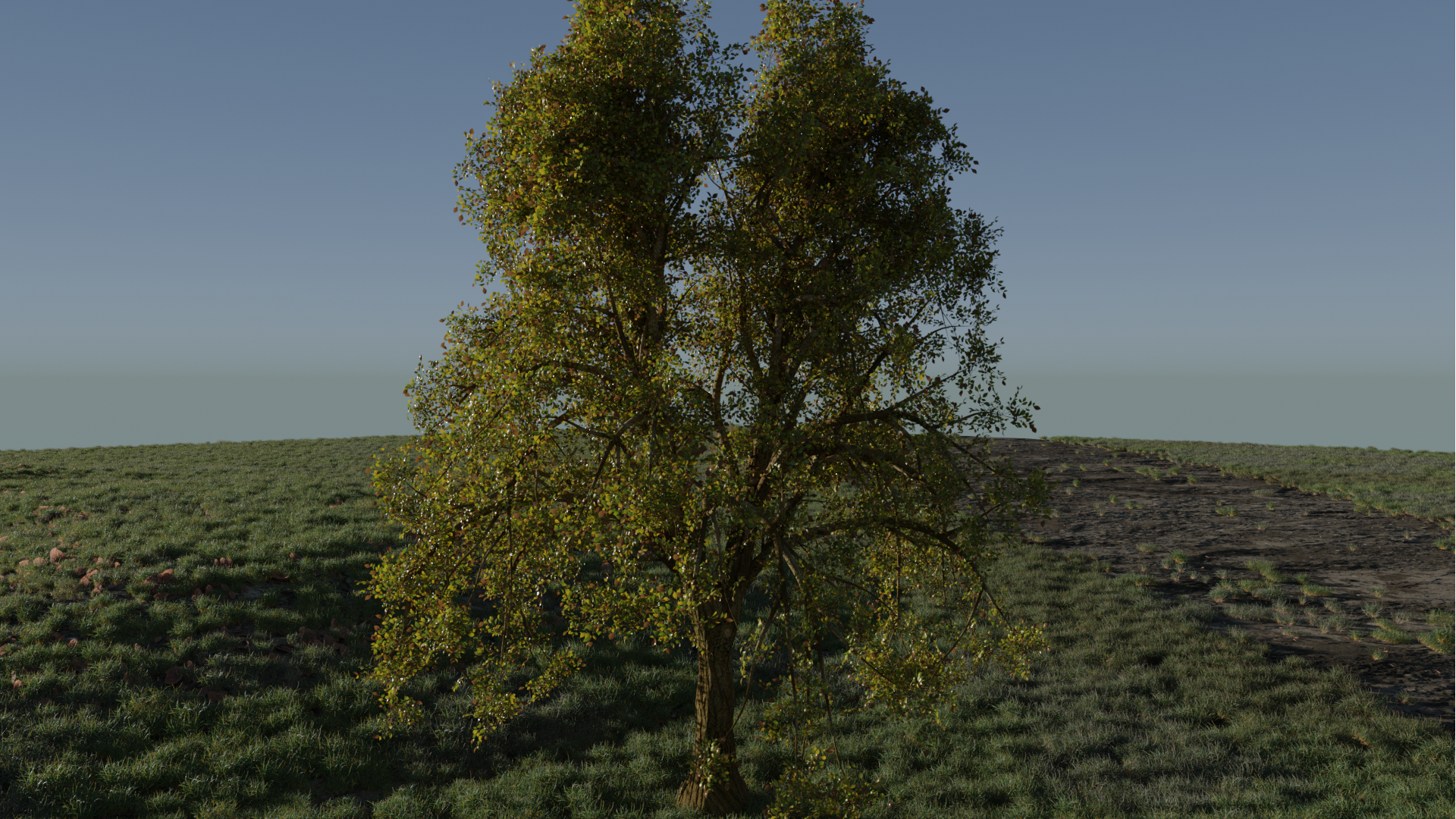 TreeRender