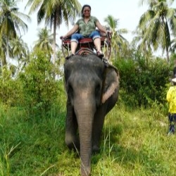 Elephant Ride