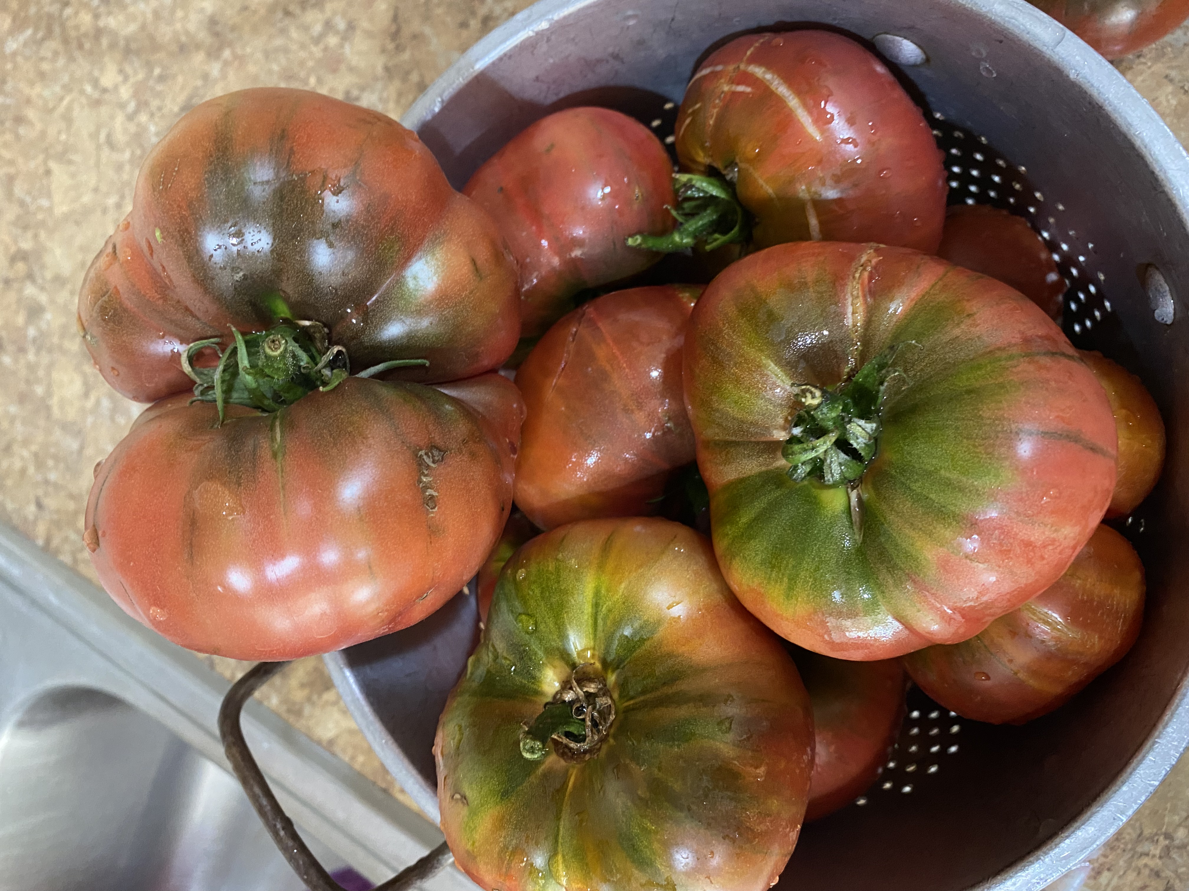 multi colored big ripe tomates