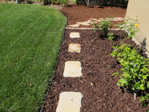 after weeding