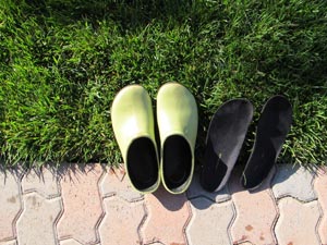 drying in the sun