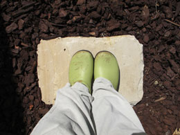 shoes on