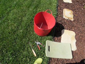 before weeding
