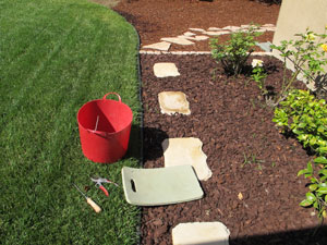 before weeding