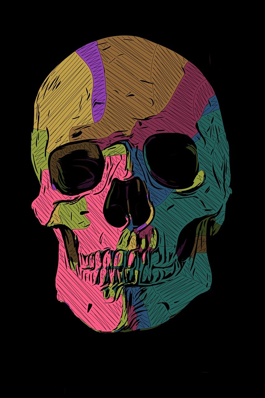 multicolorskull