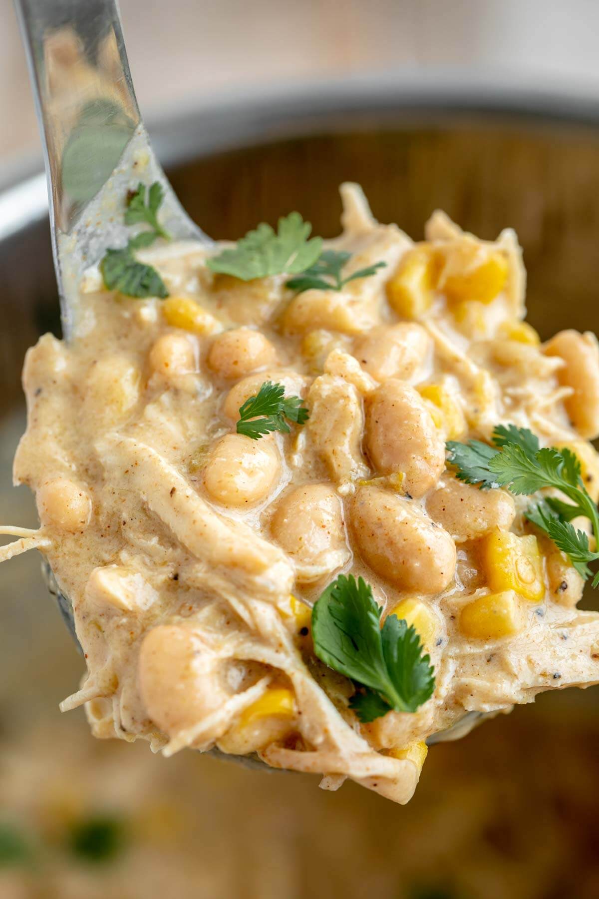 Bowl of Chili spoonful