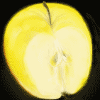 apple cut showing core