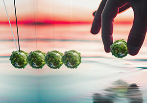 drop comp with neuton's cradle