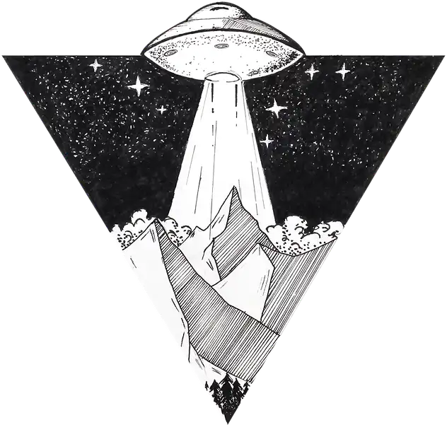 ufo landing over a forest