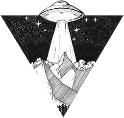 ufo landing over a forest