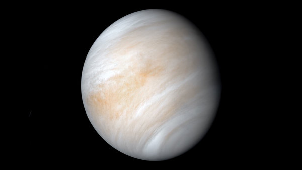 venus