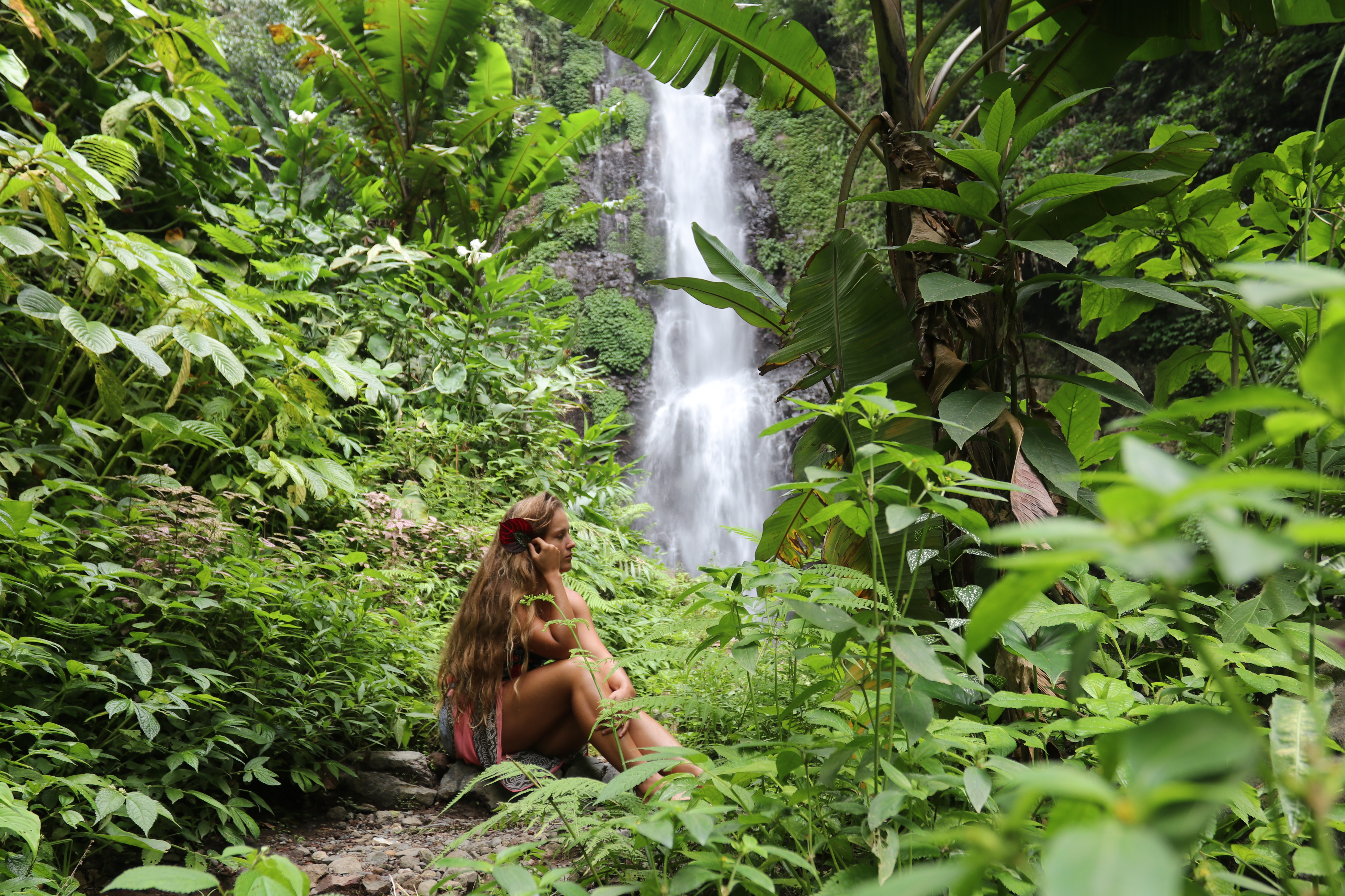 Kalin sitting in a lush green jungle